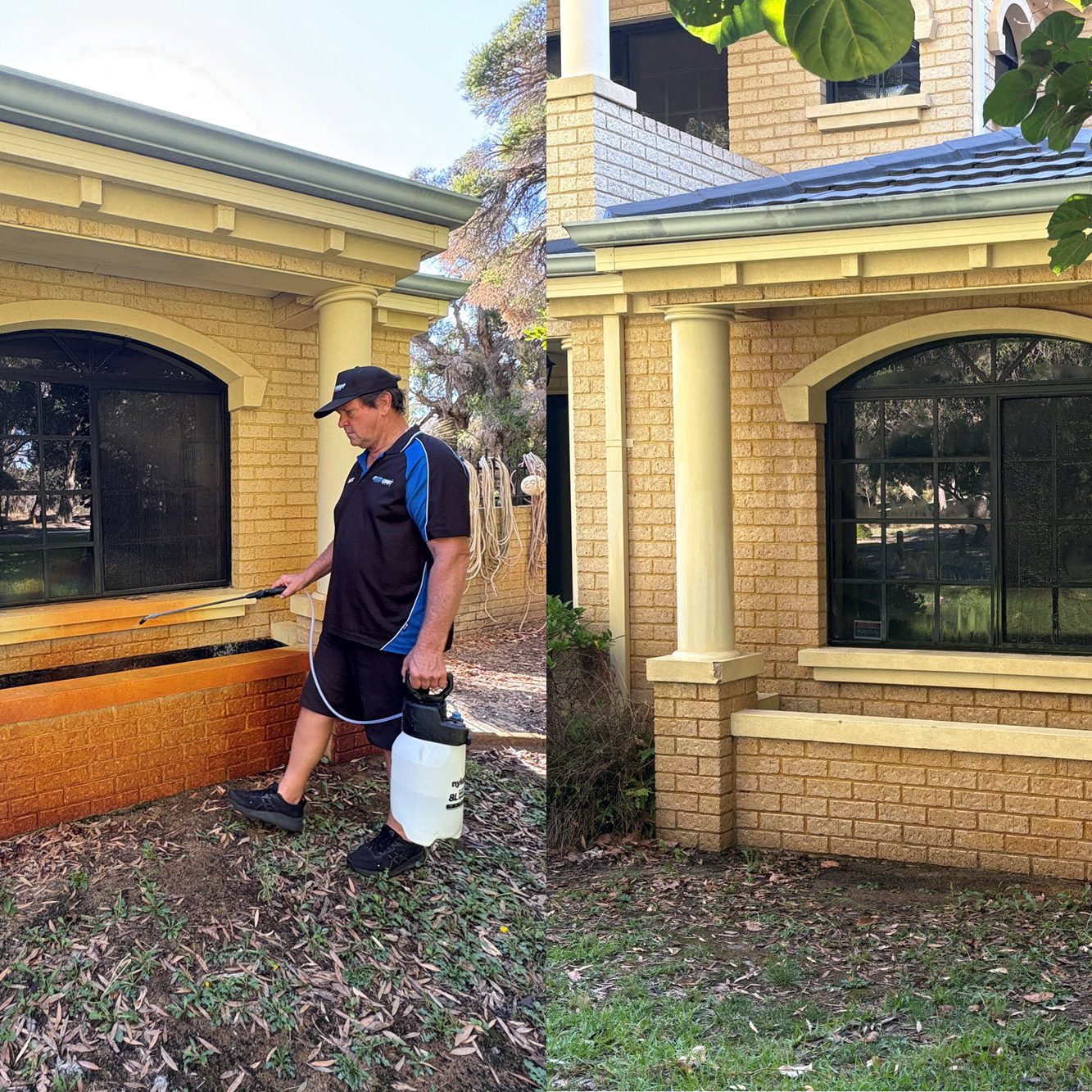 wcjw-bore-stain-removal-services